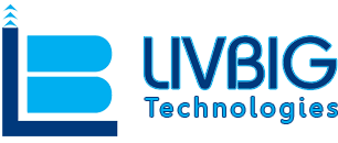 Livbig Technologies Pvt Ltd